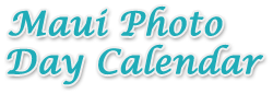 Maui Photo Day Calendar Logo