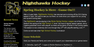Nighthawks Hockey Screenshot