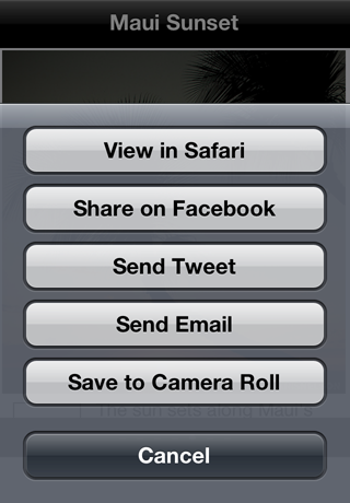 Version 2.0 Share Options
