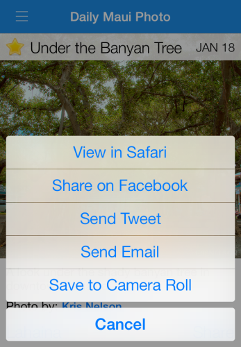 Share Options, iPhone Version