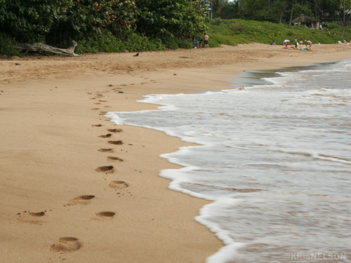 Footprints