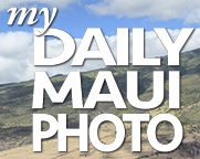 My Daily Maui Photo logo